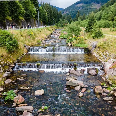 Liška - Horalka, Pec pod Sněžkou