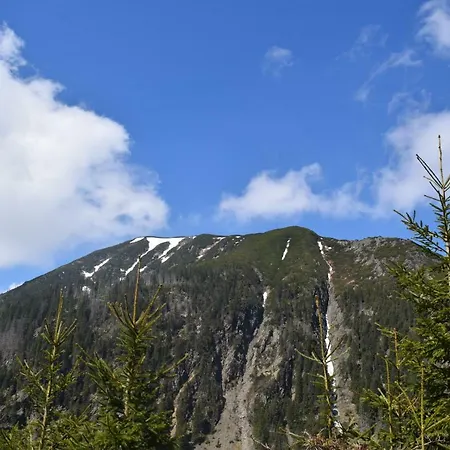 Liška - Horalka, * Pec pod Sněžkou
