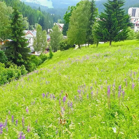 Liska V Peci - Apartmanovy Dum Horalka, *