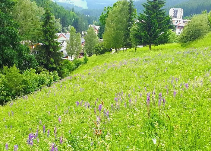 Liska V Peci - Apartmanovy Dum Horalka, *
